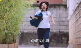 国产高中生,国产高中生风采录