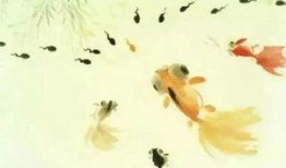 蝌蚪网国产,蝌蚪网引领绿色科技新潮流