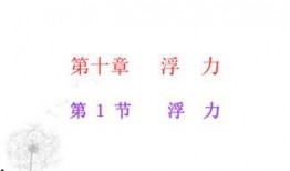 浮力第17页国产,浮力原理在现代工程应用中的关键作用