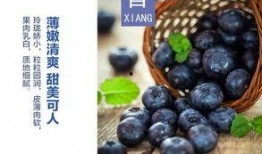 水莓100国产,探寻100国水莓种植奥秘