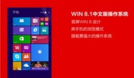 在线国产999,引领民族品牌崛起的璀璨明珠