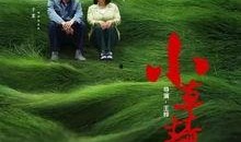 青青小草国产在线播放,国产在线播放的清新之作